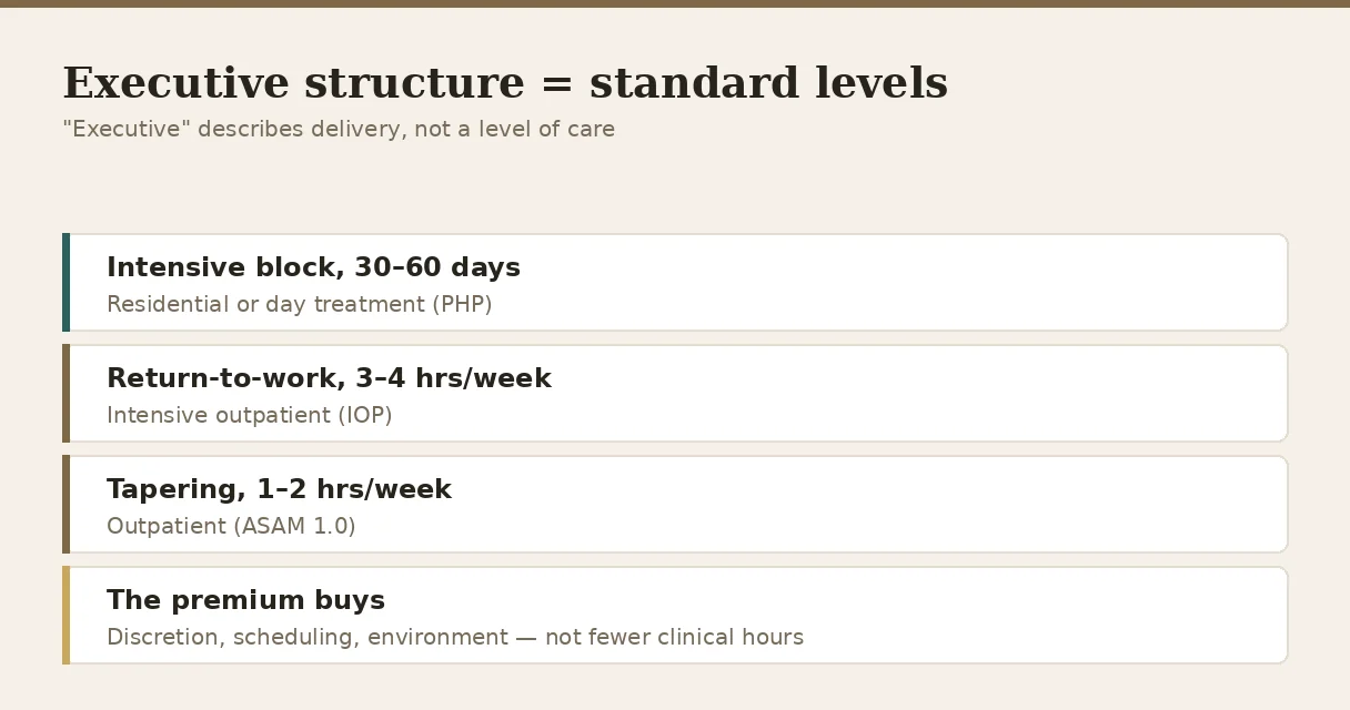 Executive programme structure mapped onto standard levels of care