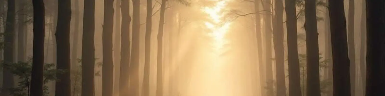 Morning mist over open ground