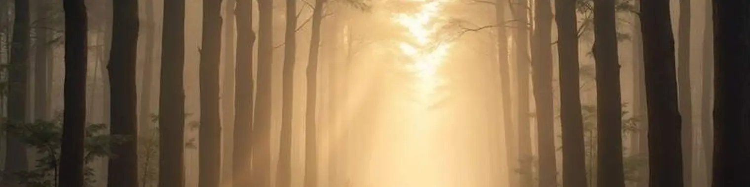 Morning mist over open ground, deciding where to go